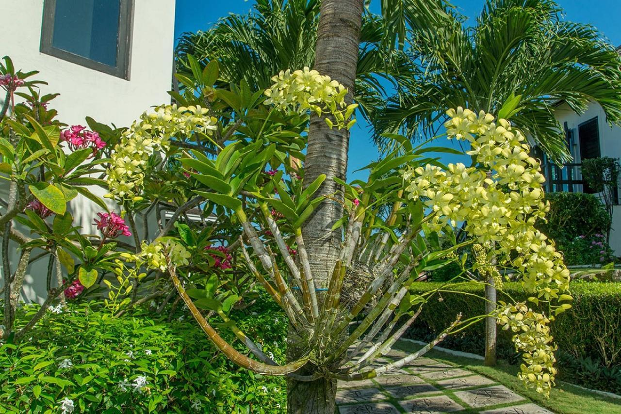 Luxury Villa Sleeps 6, Beach Access, Montego Bay Exterior photo